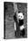 China 10MKm2 Collection - Giant Panda Baby-Philippe Hugonnard-Premier Image Canvas