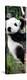 China 10MKm2 Collection - Giant Panda Baby-Philippe Hugonnard-Premier Image Canvas