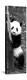 China 10MKm2 Collection - Giant Panda Baby-Philippe Hugonnard-Premier Image Canvas