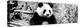 China 10MKm2 Collection - Giant Panda-Philippe Hugonnard-Premier Image Canvas