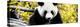 China 10MKm2 Collection - Giant Panda-Philippe Hugonnard-Premier Image Canvas