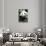 China 10MKm2 Collection - Giant Panda-Philippe Hugonnard-Premier Image Canvas displayed on a wall