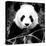 China 10MKm2 Collection - Giant Panda-Philippe Hugonnard-Premier Image Canvas