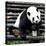 China 10MKm2 Collection - Giant Panda-Philippe Hugonnard-Premier Image Canvas