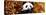 China 10MKm2 Collection - Giant Panda-Philippe Hugonnard-Premier Image Canvas