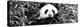 China 10MKm2 Collection - Giant Panda-Philippe Hugonnard-Premier Image Canvas