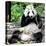 China 10MKm2 Collection - Giant Panda-Philippe Hugonnard-Premier Image Canvas