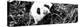 China 10MKm2 Collection - Giant Panda-Philippe Hugonnard-Premier Image Canvas