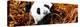 China 10MKm2 Collection - Giant Panda-Philippe Hugonnard-Premier Image Canvas