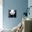 China 10MKm2 Collection - Giant Panda-Philippe Hugonnard-Premier Image Canvas displayed on a wall