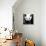 China 10MKm2 Collection - Giant Panda-Philippe Hugonnard-Premier Image Canvas displayed on a wall