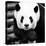 China 10MKm2 Collection - Giant Panda-Philippe Hugonnard-Premier Image Canvas