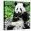 China 10MKm2 Collection - Giant Panda-Philippe Hugonnard-Premier Image Canvas