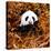 China 10MKm2 Collection - Giant Panda-Philippe Hugonnard-Premier Image Canvas