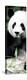 China 10MKm2 Collection - Giant Panda-Philippe Hugonnard-Premier Image Canvas