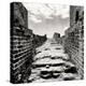 China 10MKm2 Collection - Great Wall of China-Philippe Hugonnard-Premier Image Canvas