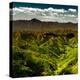 China 10MKm2 Collection - Great Wall of China-Philippe Hugonnard-Premier Image Canvas