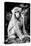 China 10MKm2 Collection - Monkey Portrait-Philippe Hugonnard-Premier Image Canvas