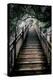 China 10MKm2 Collection - Mountain Woooden Staircase-Philippe Hugonnard-Premier Image Canvas