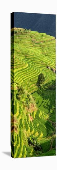 China 10MKm2 Collection - Rice Terraces - Longsheng Ping'an - Guangxi-Philippe Hugonnard-Premier Image Canvas