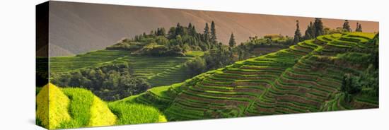 China 10MKm2 Collection - Rice Terraces - Longsheng Ping'an - Guangxi-Philippe Hugonnard-Premier Image Canvas