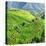 China 10MKm2 Collection - Rice Terraces - Longsheng Ping'an - Guangxi-Philippe Hugonnard-Premier Image Canvas