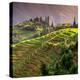 China 10MKm2 Collection - Rice Terraces - Longsheng Ping'an - Guangxi-Philippe Hugonnard-Premier Image Canvas