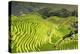 China 10MKm2 Collection - Rice Terraces - Longsheng Ping'an - Guangxi-Philippe Hugonnard-Premier Image Canvas