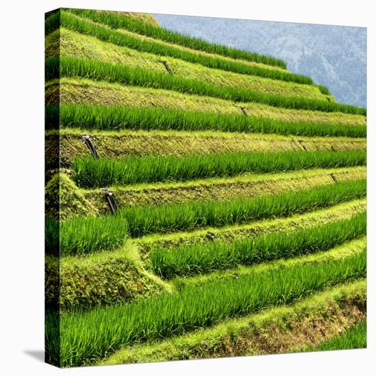 China 10MKm2 Collection - Rice Terraces - Longsheng Ping'an - Guangxi-Philippe Hugonnard-Premier Image Canvas