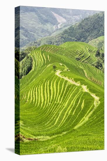 China 10MKm2 Collection - Rice Terraces - Longsheng Ping'an - Guangxi-Philippe Hugonnard-Premier Image Canvas