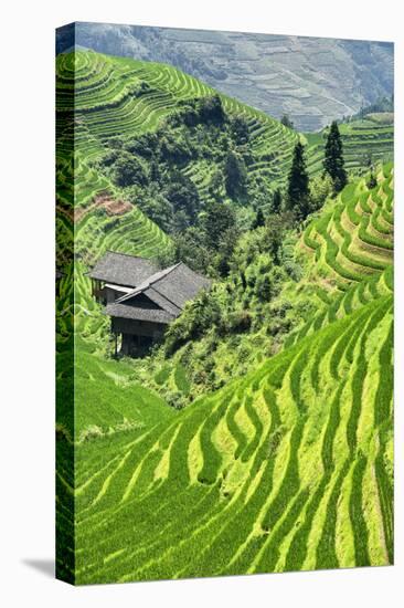 China 10MKm2 Collection - Rice Terraces - Longsheng Ping'an - Guangxi-Philippe Hugonnard-Premier Image Canvas