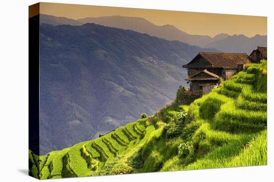 China 10MKm2 Collection - Rice Terraces - Longsheng Ping'an - Guangxi-Philippe Hugonnard-Premier Image Canvas