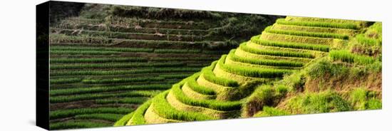 China 10MKm2 Collection - Rice Terraces - Longsheng Ping'an - Guangxi-Philippe Hugonnard-Premier Image Canvas