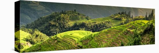 China 10MKm2 Collection - Rice Terraces - Longsheng Ping'an - Guangxi-Philippe Hugonnard-Premier Image Canvas