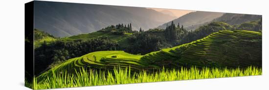 China 10MKm2 Collection - Rice Terraces - Longsheng Ping'an - Guangxi-Philippe Hugonnard-Premier Image Canvas