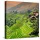 China 10MKm2 Collection - Rice Terraces - Longsheng Ping'an - Guangxi-Philippe Hugonnard-Premier Image Canvas