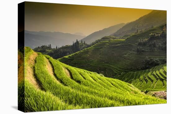 China 10MKm2 Collection - Rice Terraces - Longsheng Ping'an - Guangxi-Philippe Hugonnard-Premier Image Canvas