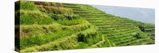 China 10MKm2 Collection - Rice Terraces - Longsheng Ping'an - Guangxi-Philippe Hugonnard-Premier Image Canvas