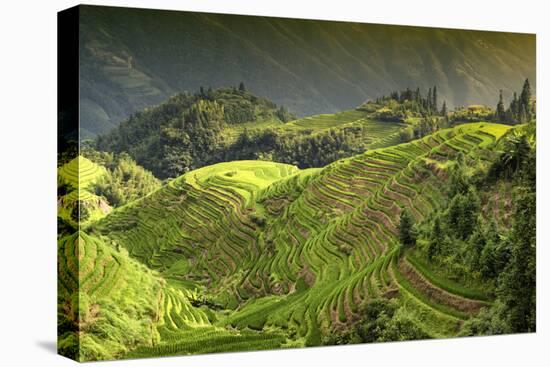 China 10MKm2 Collection - Rice Terraces - Longsheng Ping'an - Guangxi-Philippe Hugonnard-Premier Image Canvas