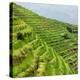 China 10MKm2 Collection - Rice Terraces - Longsheng Ping'an - Guangxi-Philippe Hugonnard-Premier Image Canvas