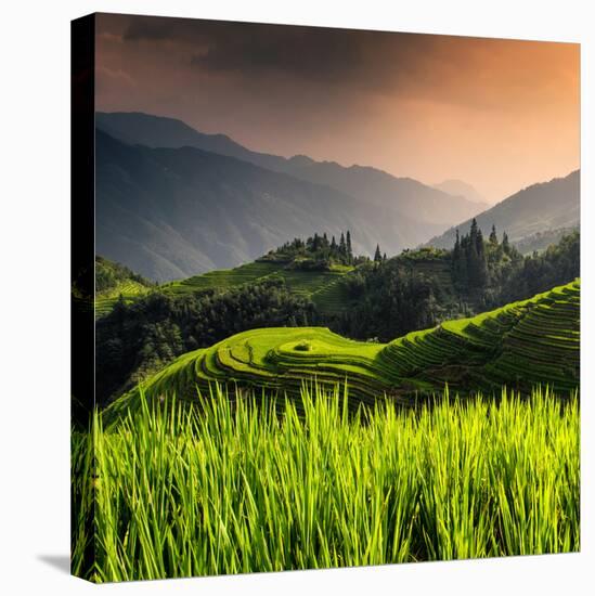 China 10MKm2 Collection - Rice Terraces - Longsheng Ping'an - Guangxi-Philippe Hugonnard-Premier Image Canvas