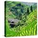 China 10MKm2 Collection - Rice Terraces - Longsheng Ping'an - Guangxi-Philippe Hugonnard-Premier Image Canvas