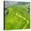 China 10MKm2 Collection - Rice Terraces - Longsheng Ping'an - Guangxi-Philippe Hugonnard-Premier Image Canvas