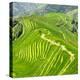 China 10MKm2 Collection - Rice Terraces - Longsheng Ping'an - Guangxi-Philippe Hugonnard-Premier Image Canvas