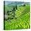 China 10MKm2 Collection - Rice Terraces - Longsheng Ping'an - Guangxi-Philippe Hugonnard-Premier Image Canvas