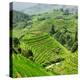 China 10MKm2 Collection - Rice Terraces - Longsheng Ping'an - Guangxi-Philippe Hugonnard-Premier Image Canvas