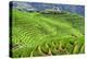 China 10MKm2 Collection - Rice Terraces - Longsheng Ping'an - Guangxi-Philippe Hugonnard-Premier Image Canvas