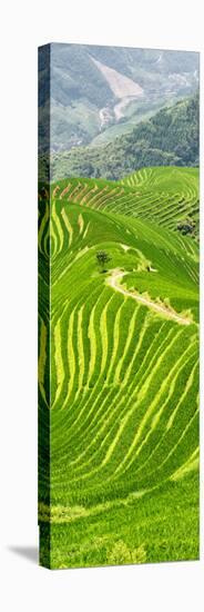 China 10MKm2 Collection - Rice Terraces - Longsheng Ping'an - Guangxi-Philippe Hugonnard-Premier Image Canvas