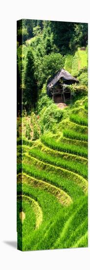 China 10MKm2 Collection - Rice Terraces - Longsheng Ping'an - Guangxi-Philippe Hugonnard-Premier Image Canvas