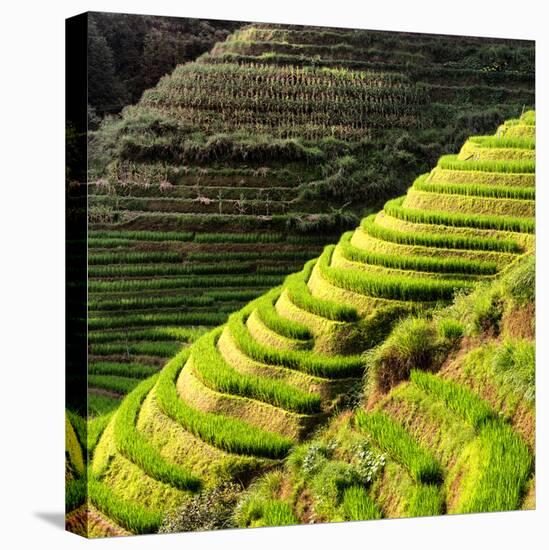 China 10MKm2 Collection - Rice Terraces - Longsheng Ping'an - Guangxi-Philippe Hugonnard-Premier Image Canvas